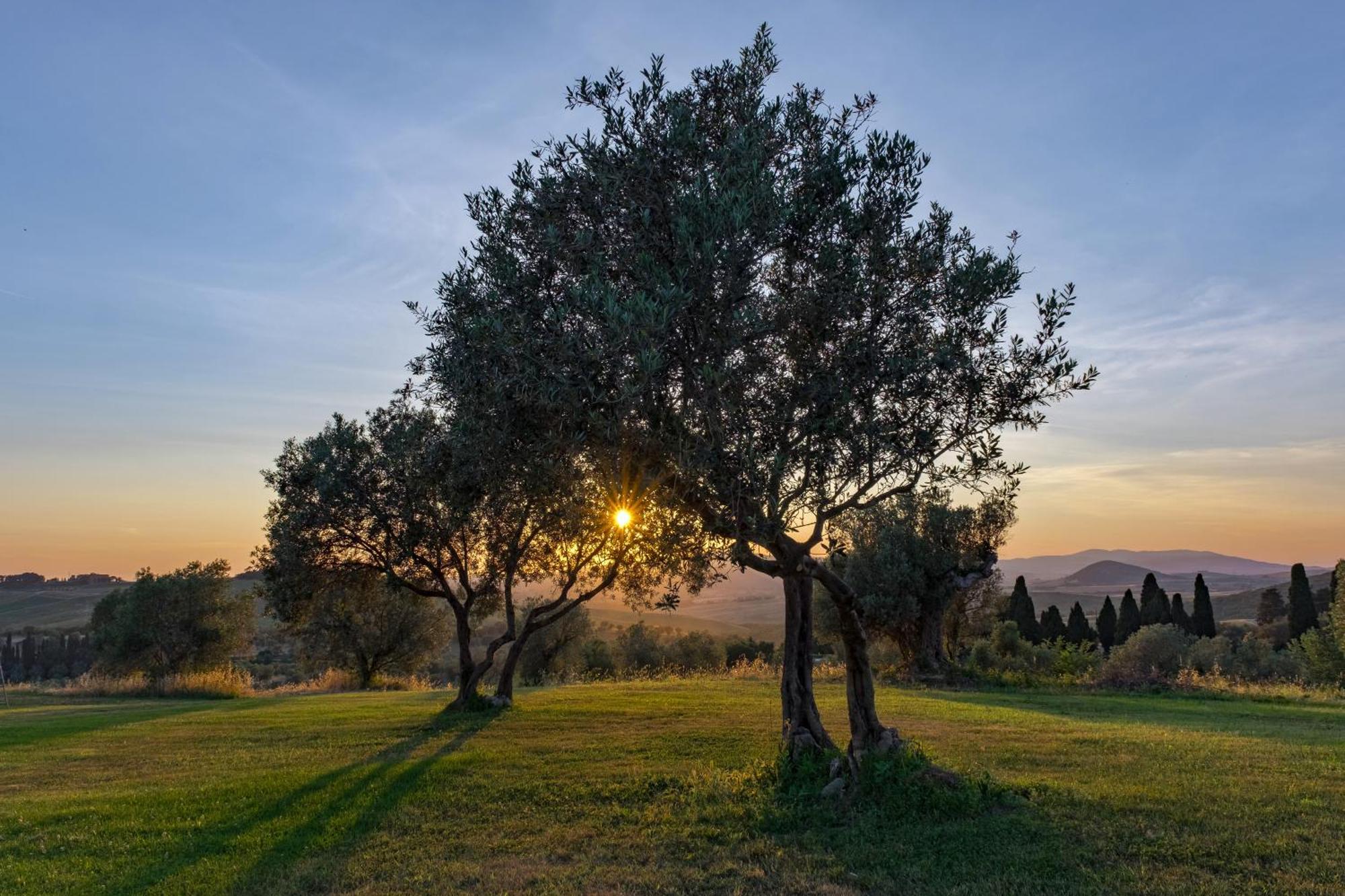 Vila La Marrana - Castello Del Terriccio Castellina Marittima Exteriér fotografie